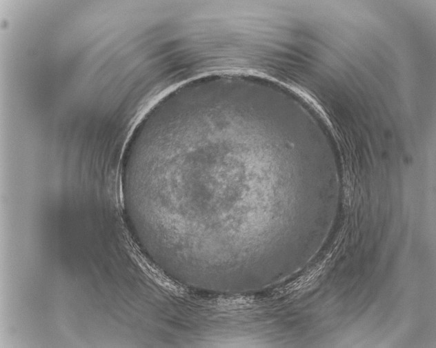 X0000059100887200510172117