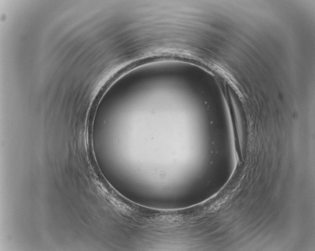 X0000059100888200510172117