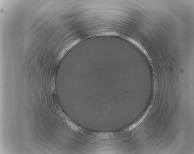 X0000059100889200510172117