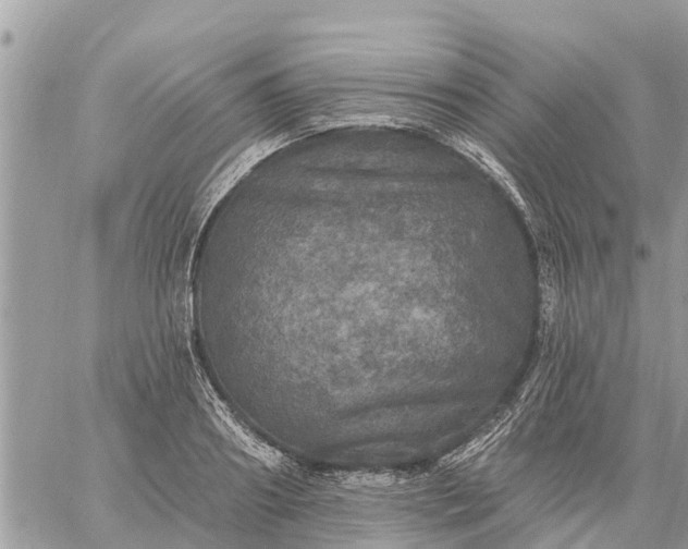 X0000059100890200510172117