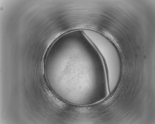 X0000059100892200510172117