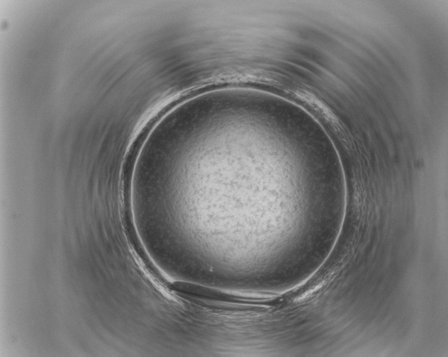 X0000059100894200510172117