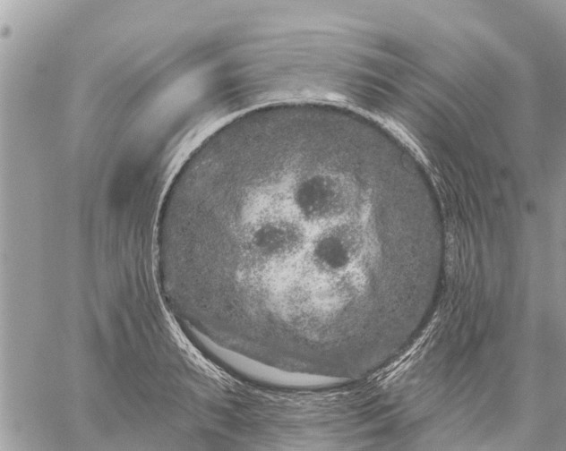 X0000059100895200510172117