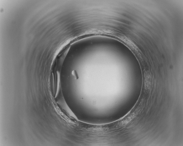 X0000059100896200510172117