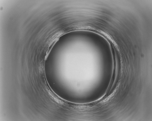 X0000059100897200510172117