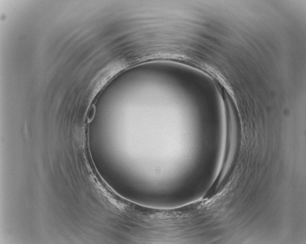 X0000059100898200510172117