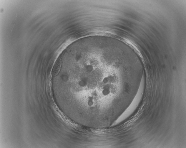 X0000059100899200510172117