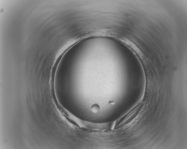 X0000059100902200510172117