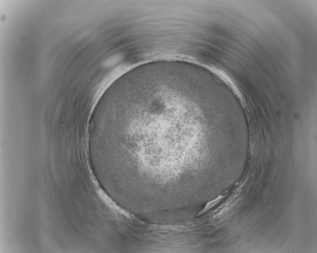 X0000059100903200510172117