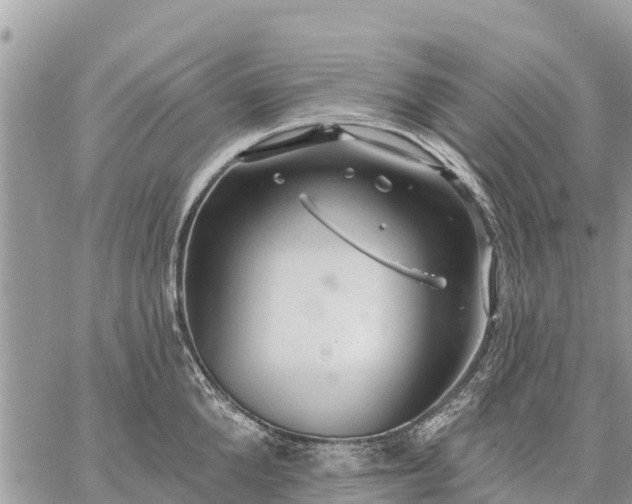 X0000059100904200510172117