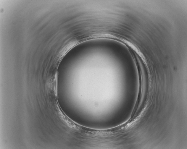 X0000059100905200510172117