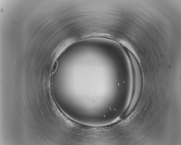 X0000059100906200510172117