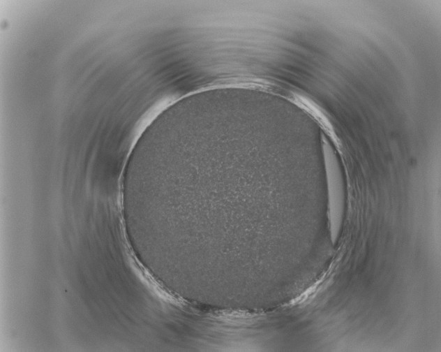 X0000059100907200510172117