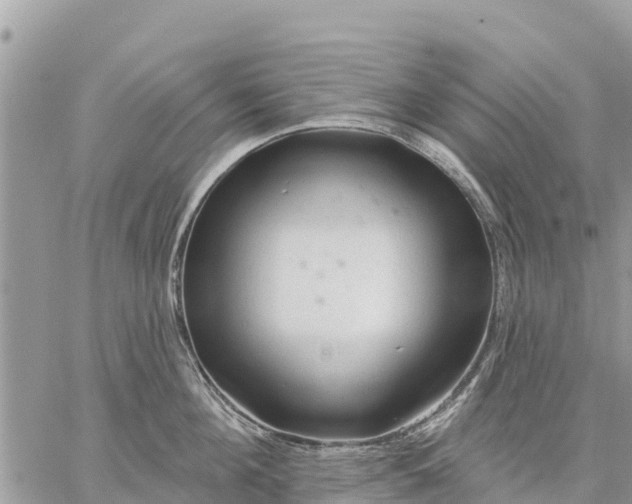 X0000059100908200510172117