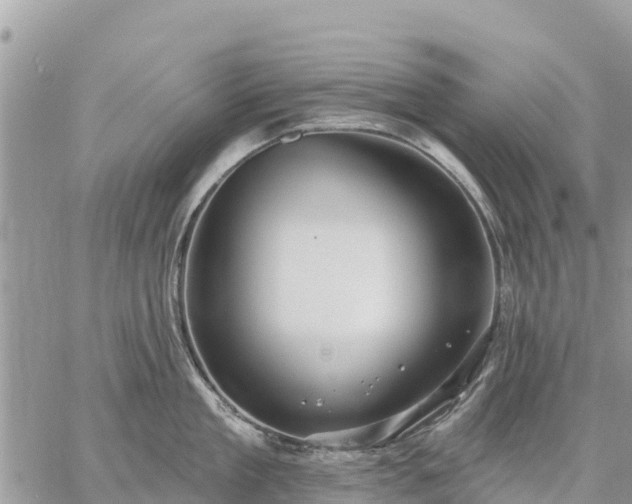 X0000059100909200510172117