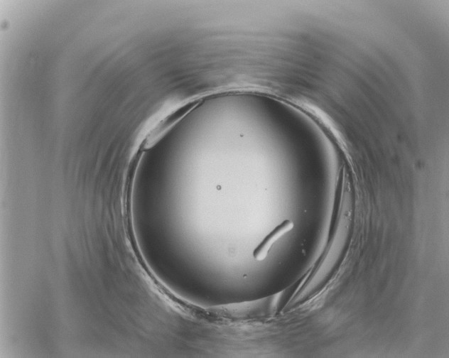 X0000059100910200510172117