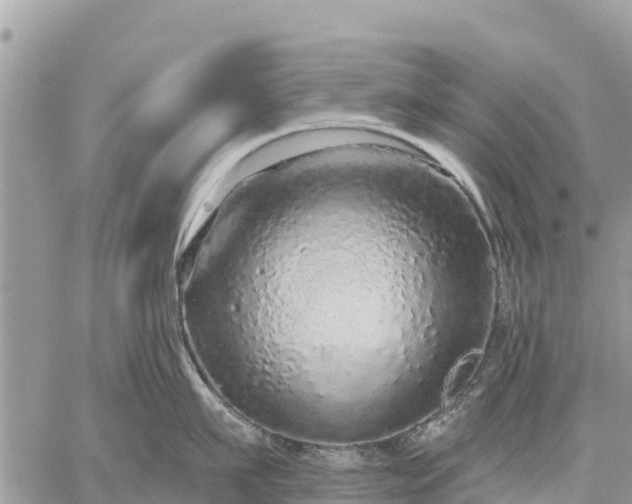 X0000059100911200510172117