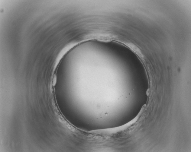 X0000059100912200510172117