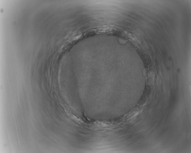 X0000059100913200510172116