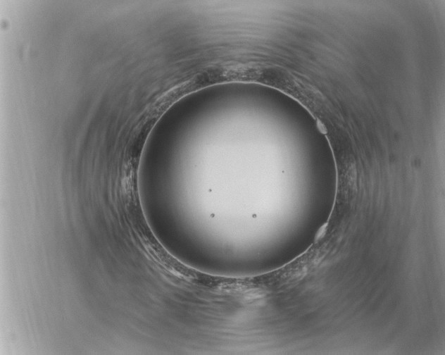 X0000059100914200510172116