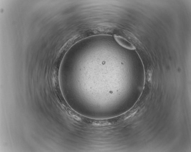 X0000059100915200510172116