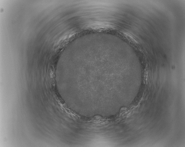 X0000059100917200510172116