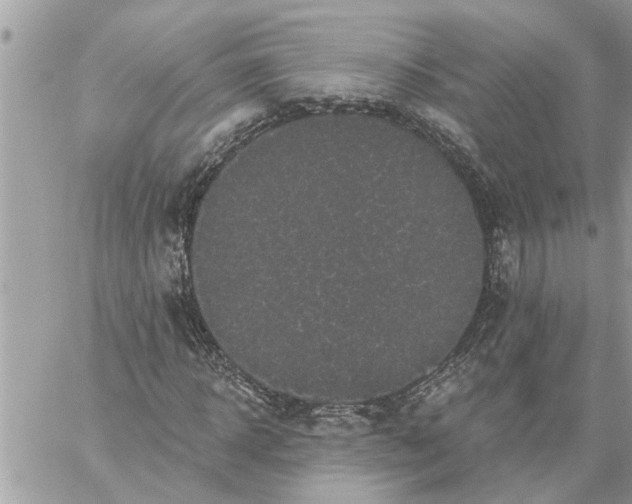 X0000059100918200510172116