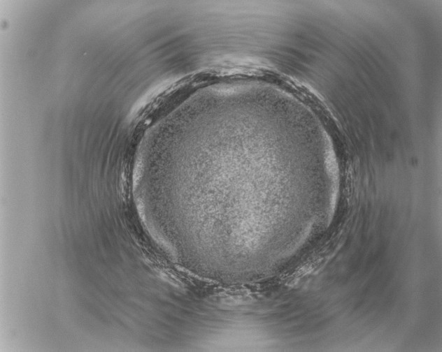 X0000059100919200510172116