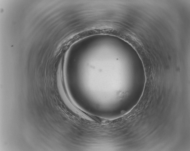 X0000059100920200510172116