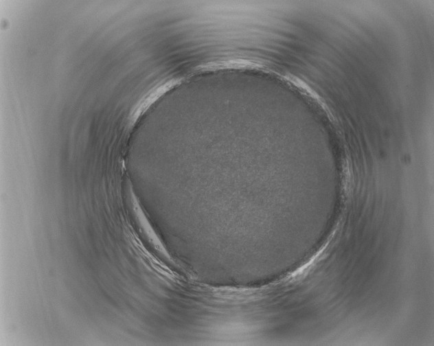 X0000059100921200510172116