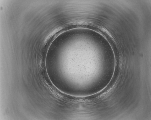 X0000059100922200510172116