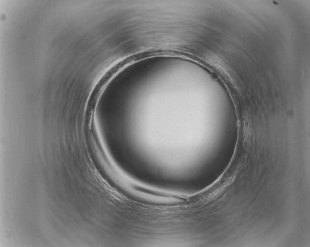 X0000059100924200510172116