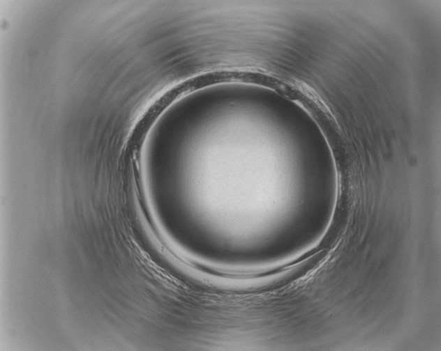 X0000059100926200510172116