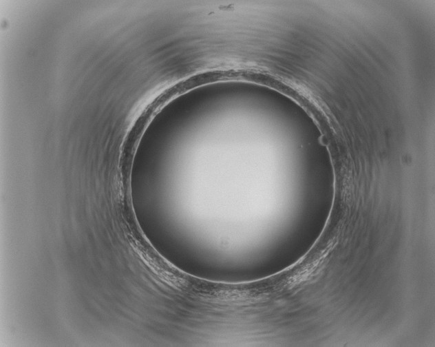 X0000059100927200510172116