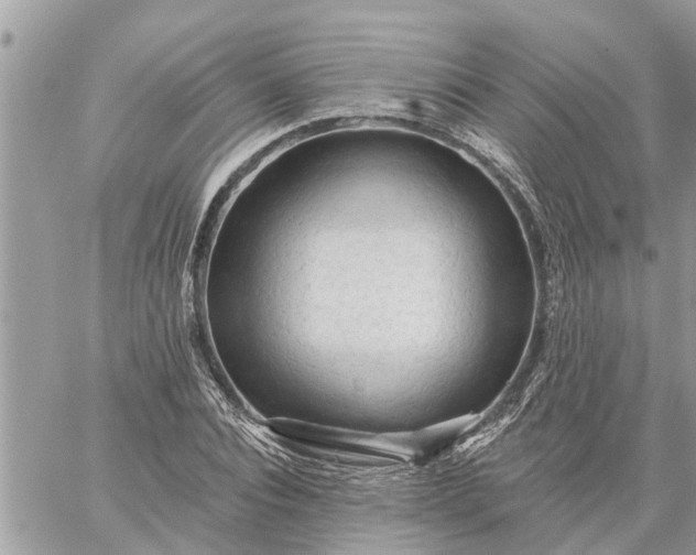 X0000059100928200510172116