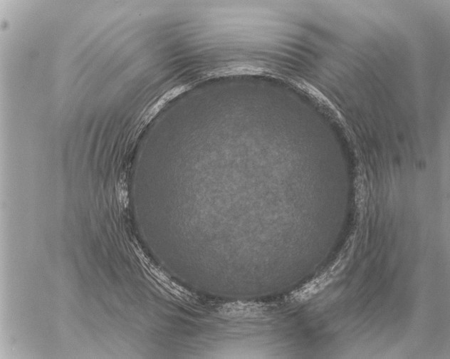 X0000059100929200510172116