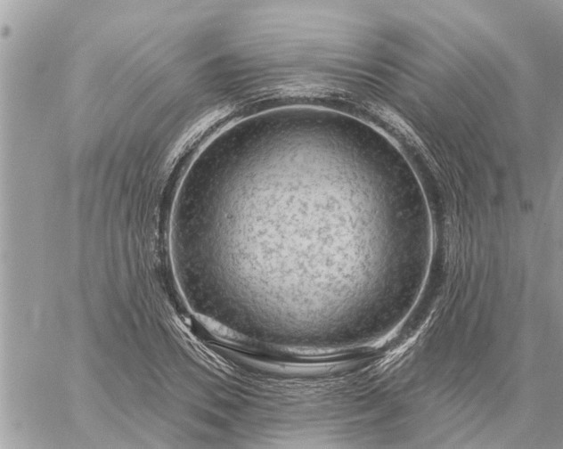 X0000059100930200510172116