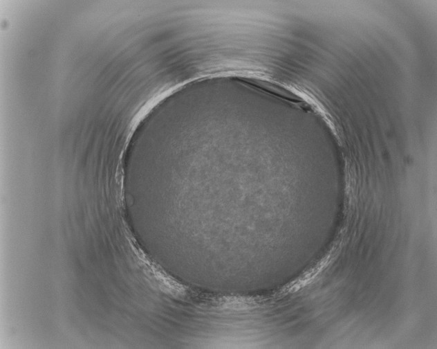 X0000059100933200510172116