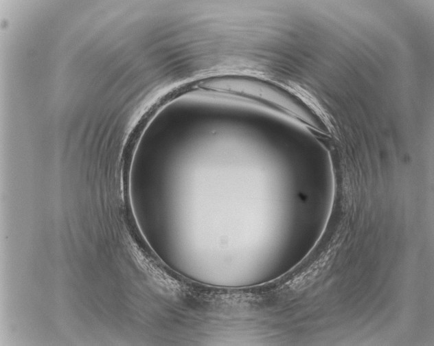 X0000059100934200510172116