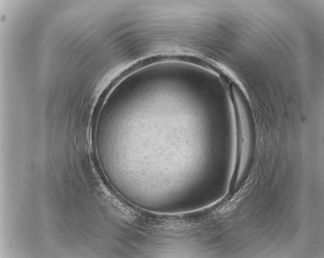 X0000059100935200510172116