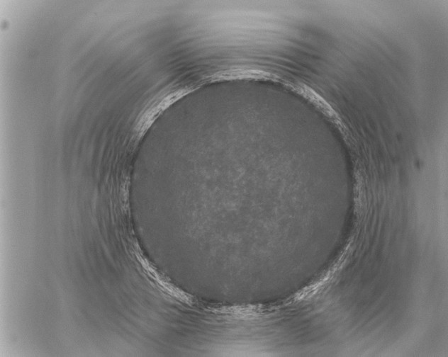 X0000059100937200510172116