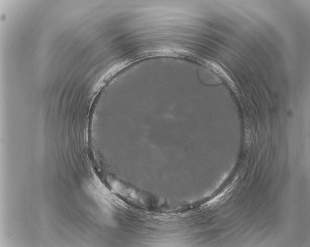 X0000059100938200510172116