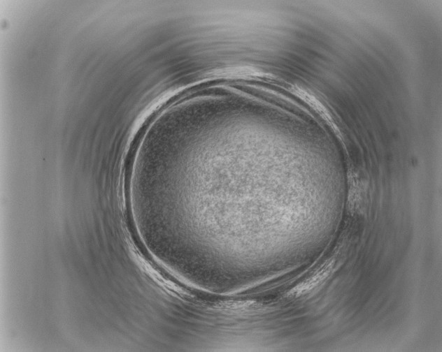 X0000059100939200510172116