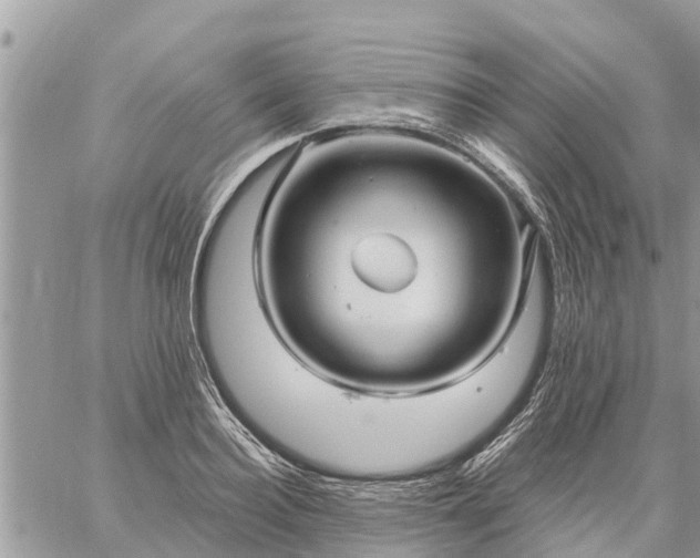 X0000059100940200510172116