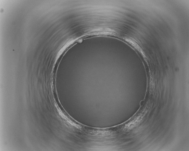 X0000059100941200510172116