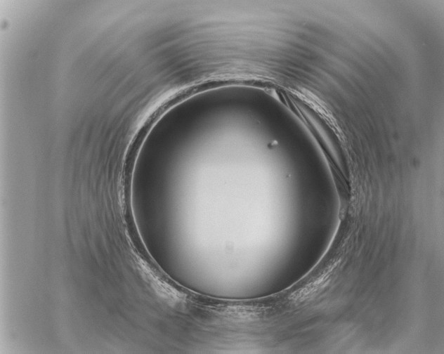 X0000059100942200510172116