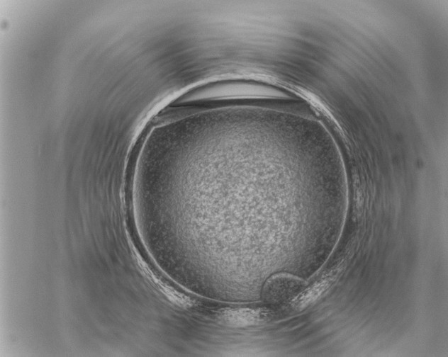 X0000059100943200510172116