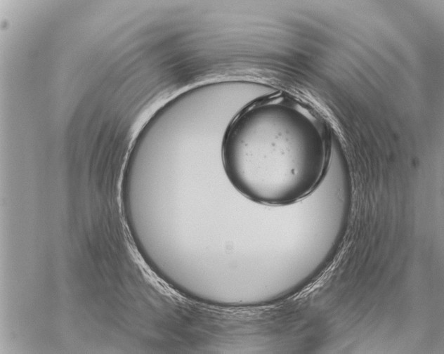 X0000059100944200510172116