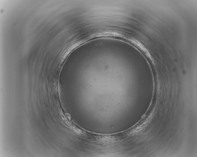 X0000059100945200510172116