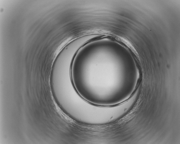 X0000059100946200510172116